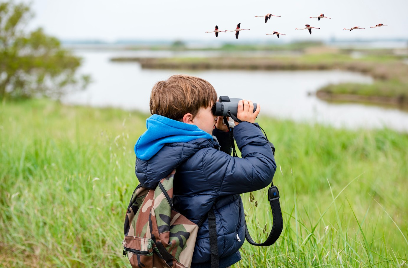 birding