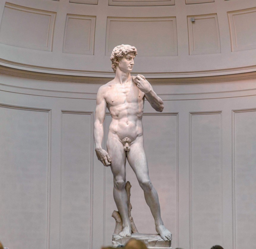 statue of David Michelangelo buonarroti statue of David Michelangelo buonarroti