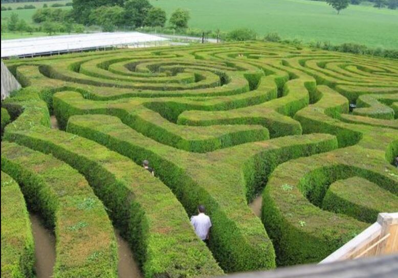10 10