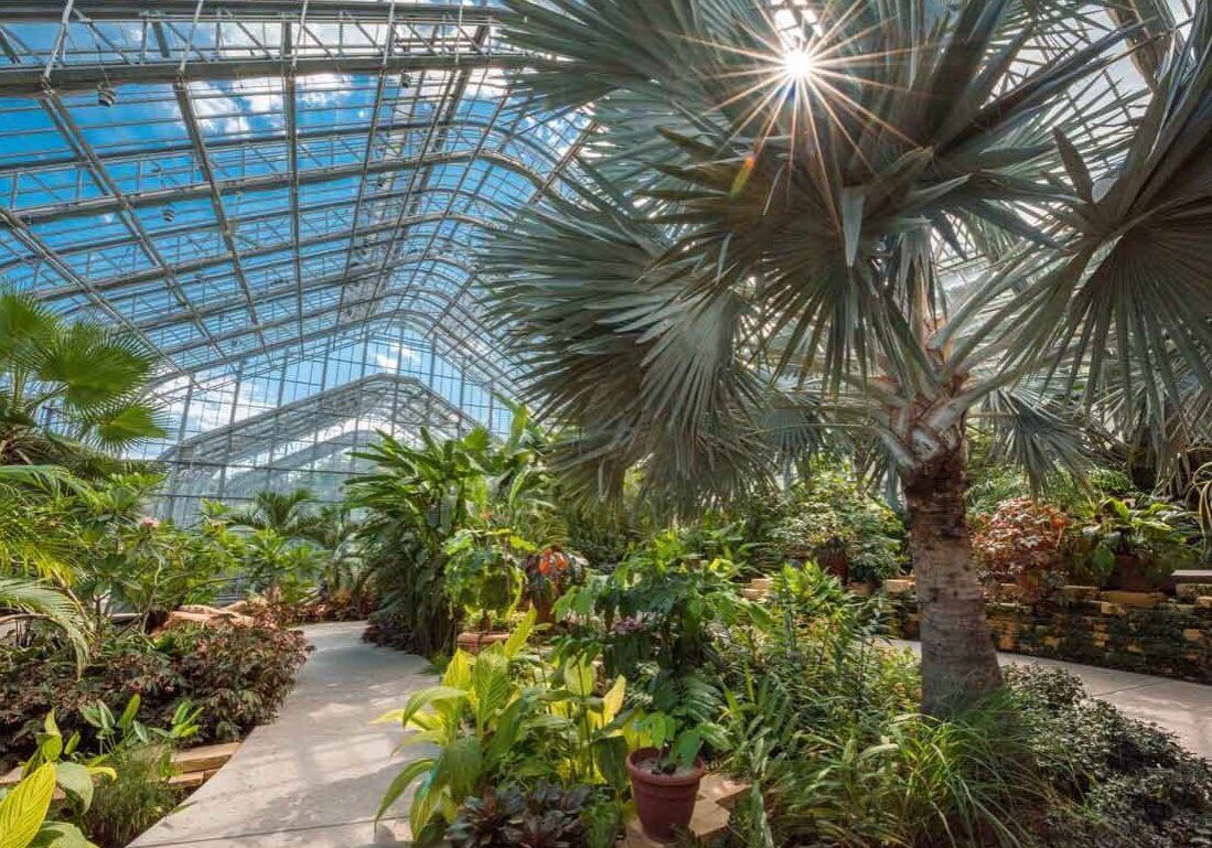 conservatory 1 conservatory 1
