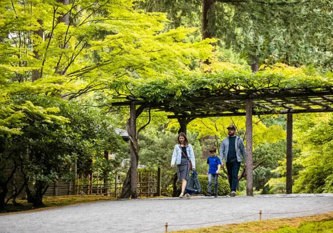 forest bathing 1.2 forest bathing 1.2
