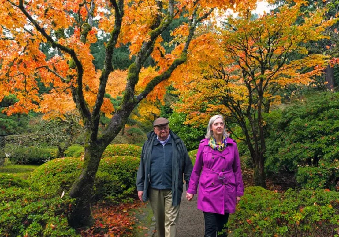 forest bathing 1.3 forest bathing 1.3