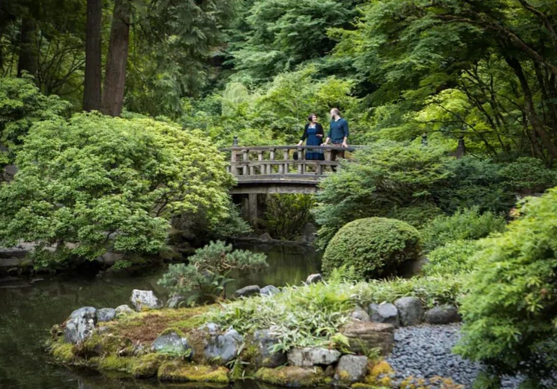 forest bathing 1.4 forest bathing 1.4