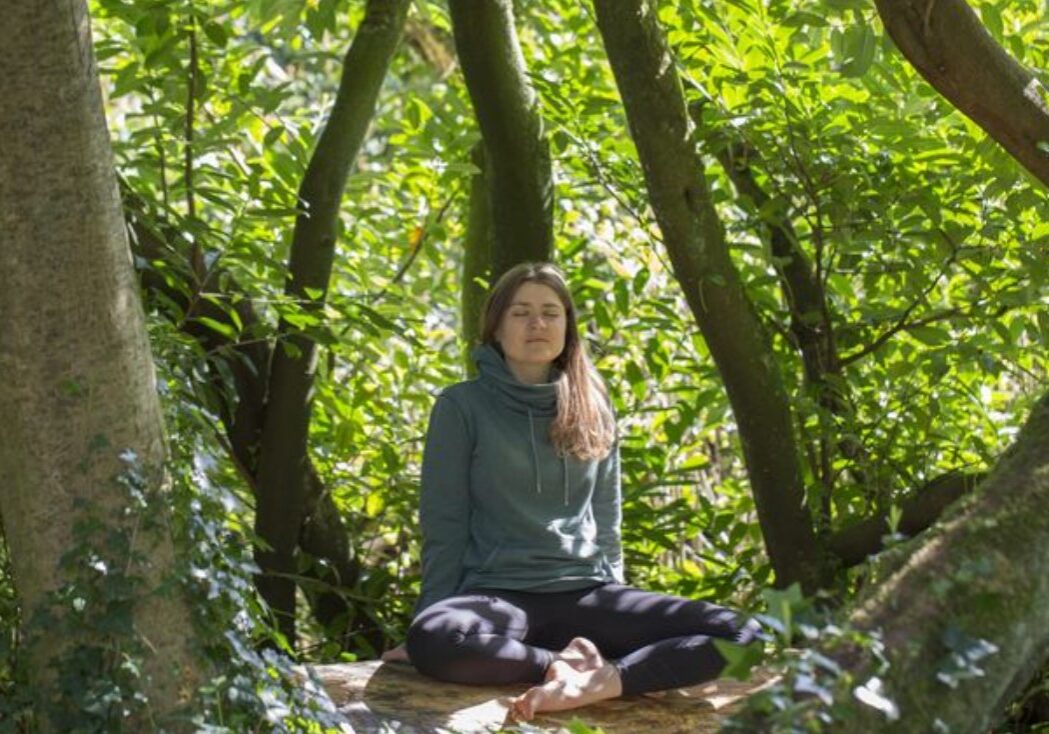 forest bathing 11 forest bathing 11