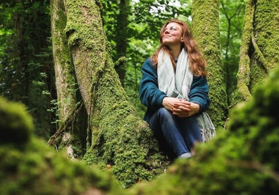 forest bathing 12 forest bathing 12