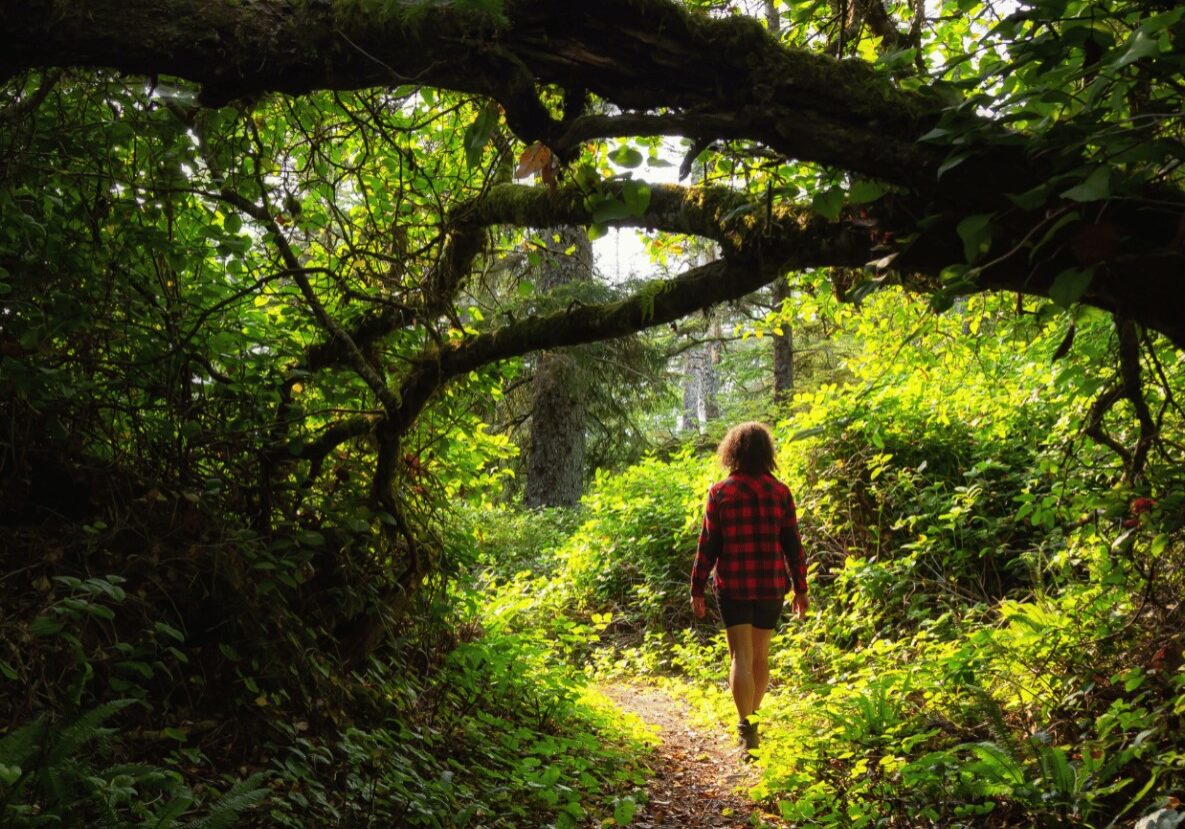 forest bathing 13 forest bathing 13