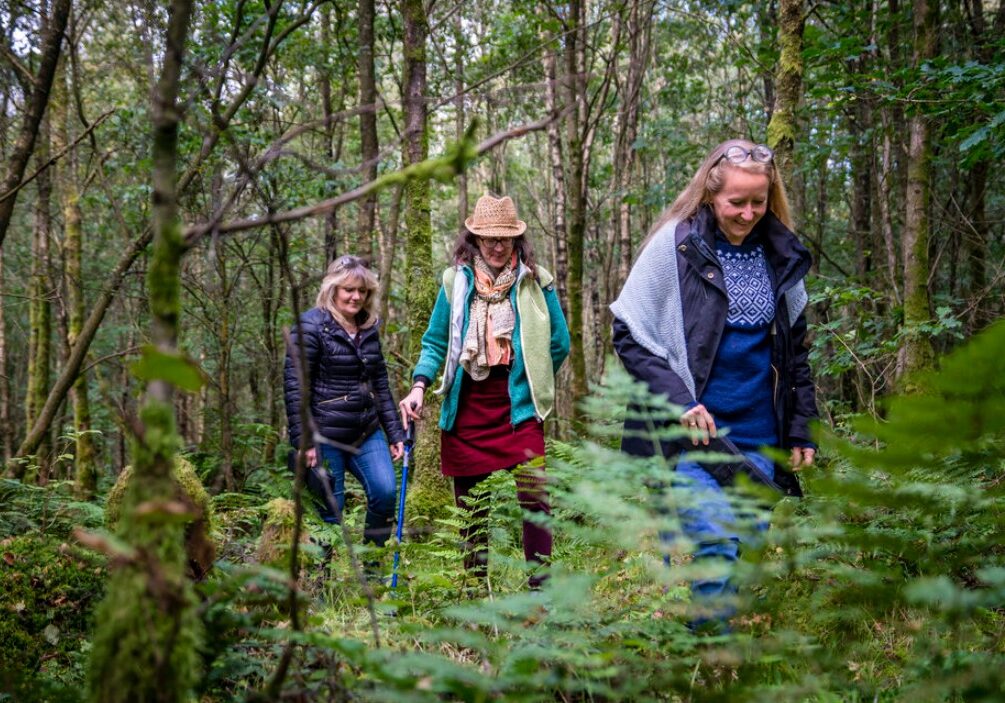 forest bathing 15 forest bathing 15