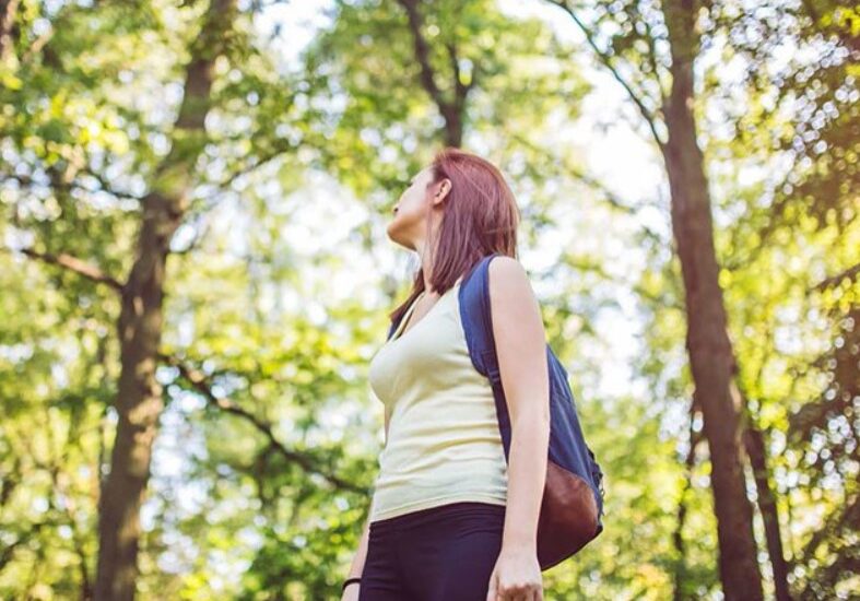 forest bathing 16 forest bathing 16