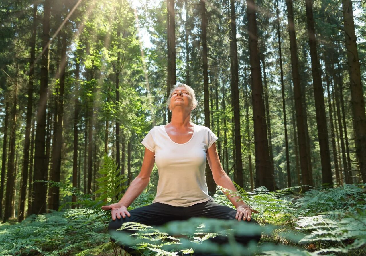 forest bathing 20 forest bathing 20