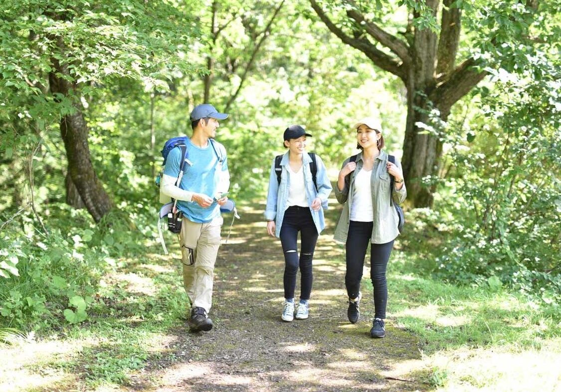 forest bathing 23 forest bathing 23