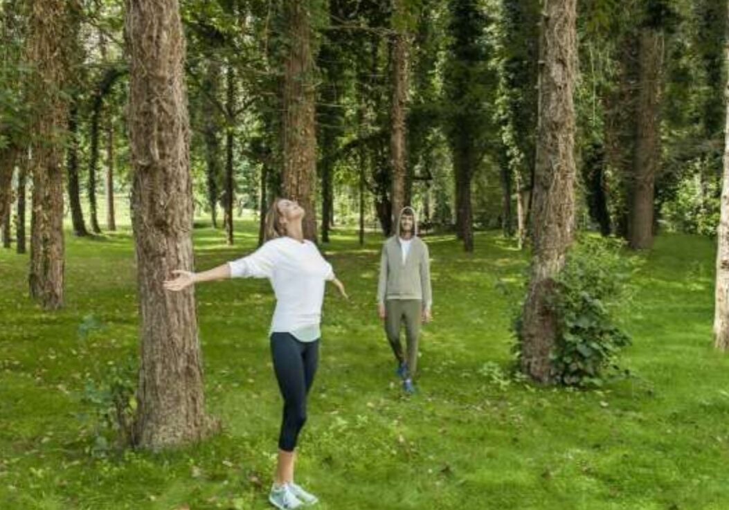 forest bathing 24 forest bathing 24