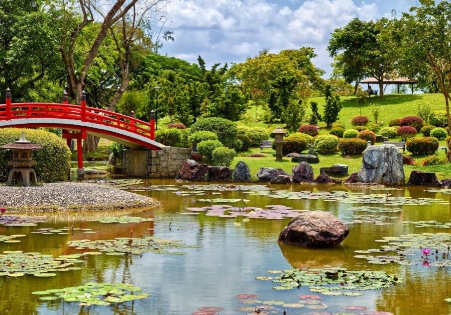 koi ritsurin garden japan koi ritsurin garden japan