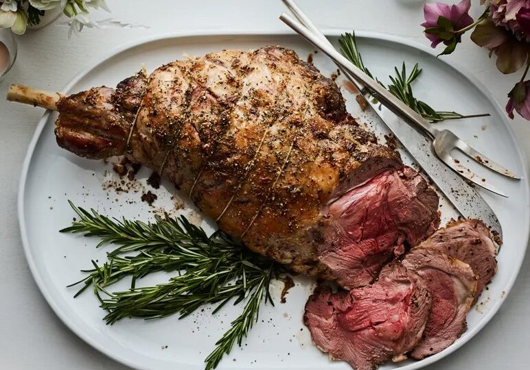 sheep lamb 1